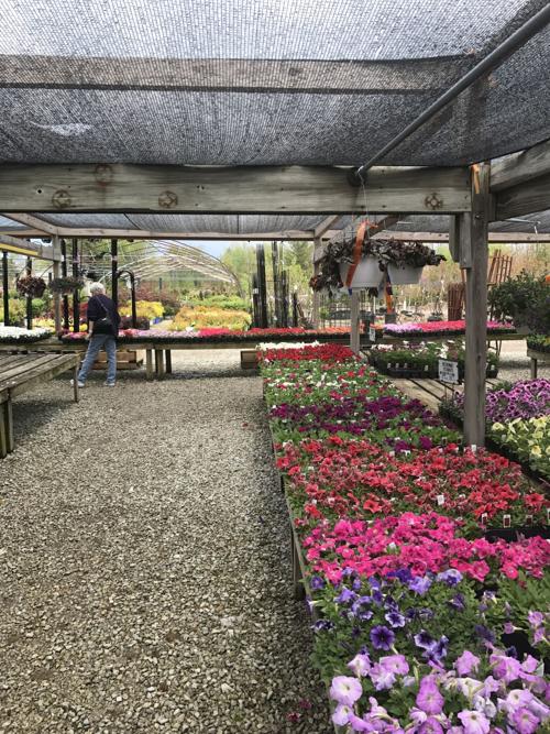 Only part of the Massive Sawyer Home and Garden Center.JPG