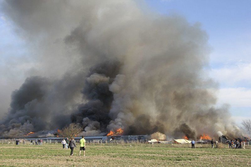 Duck barn destroyed by fire | Local News | goshennews.com