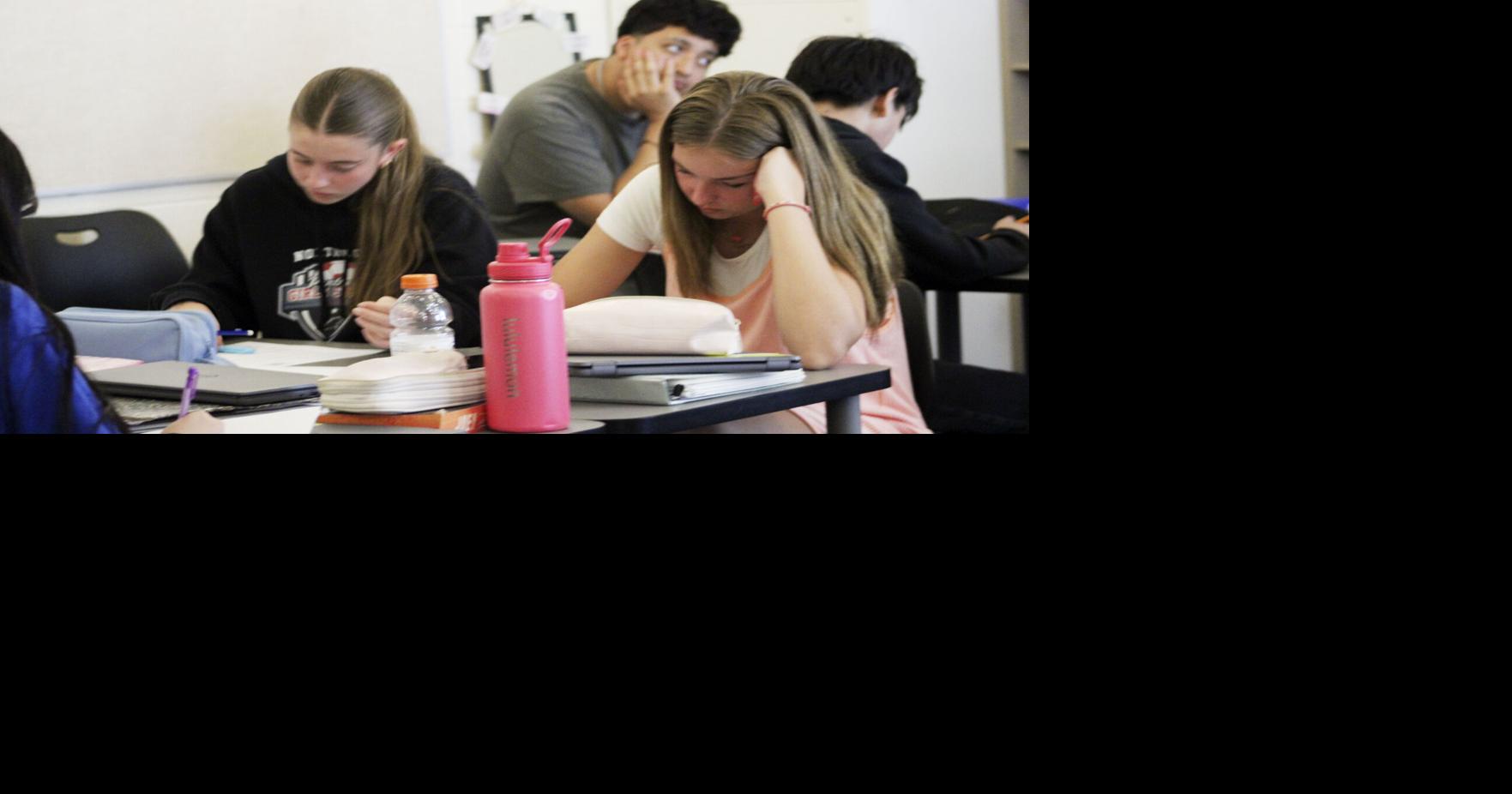 Freshmen work on project-based learning | Nappanee Pace | goshennews.com