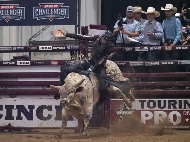 Bull Fest returned to Shipshewana Friday and Saturday | News ...
