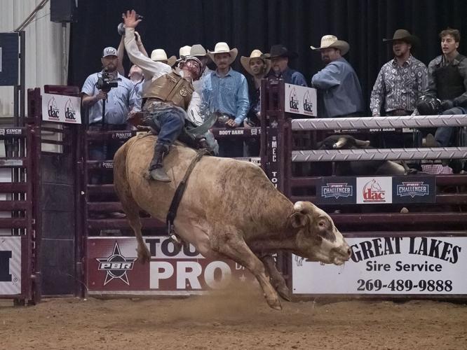 Bull Fest returned to Shipshewana Friday and Saturday | News ...