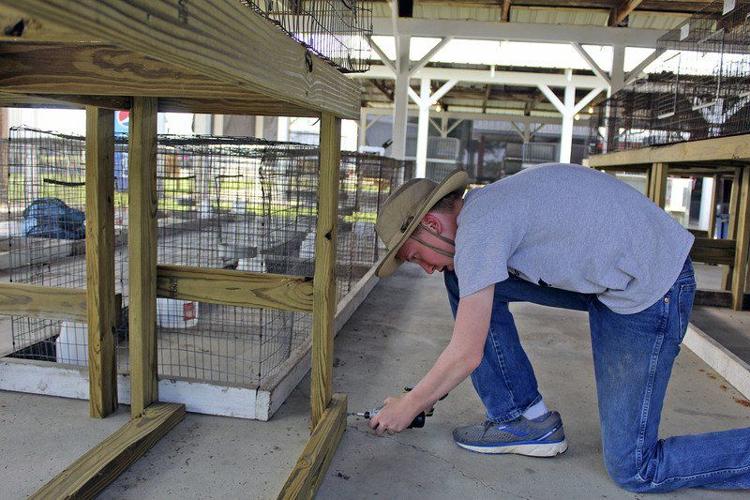 SPOTLIGHT ON LAGRANGE 4H'ers love their LaGrange County fair Local