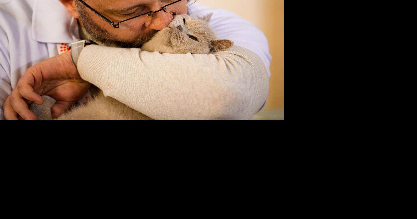 Romania International Cat Show