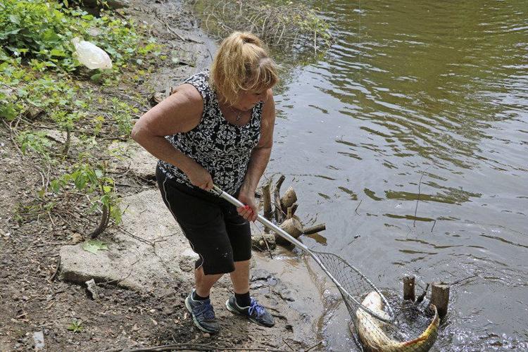Festival reels fishing enthusiasts into downtown Elkhart | Local News ...