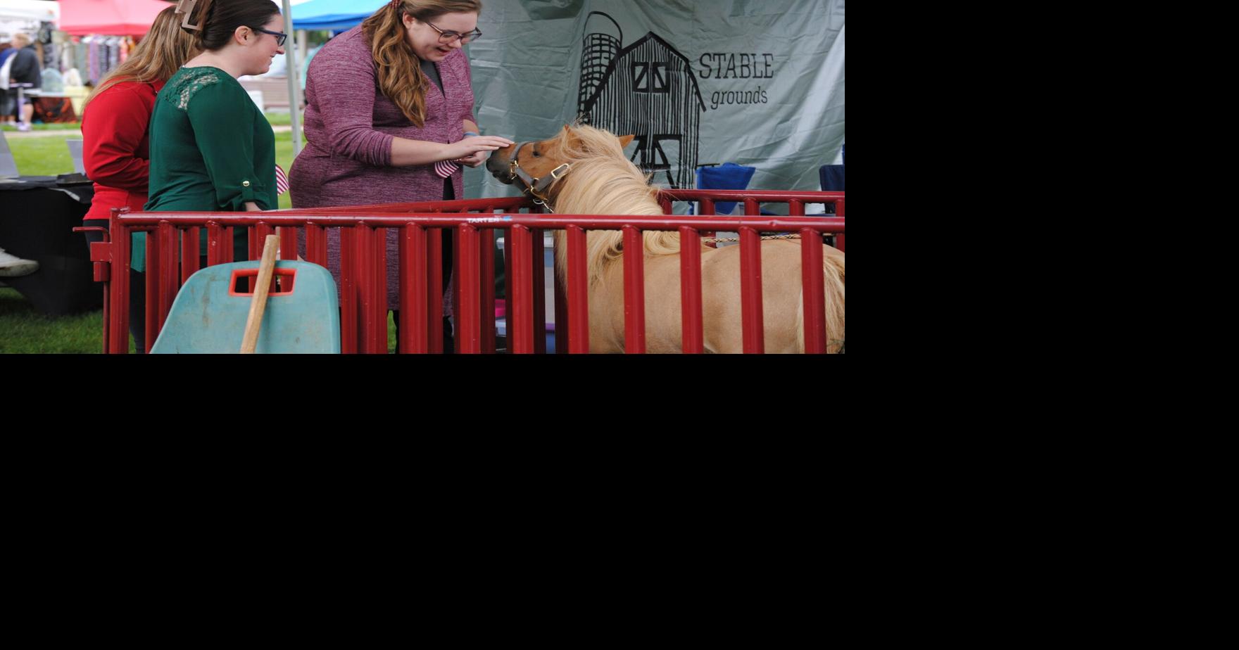 Middlebury Fall Festival continues today News