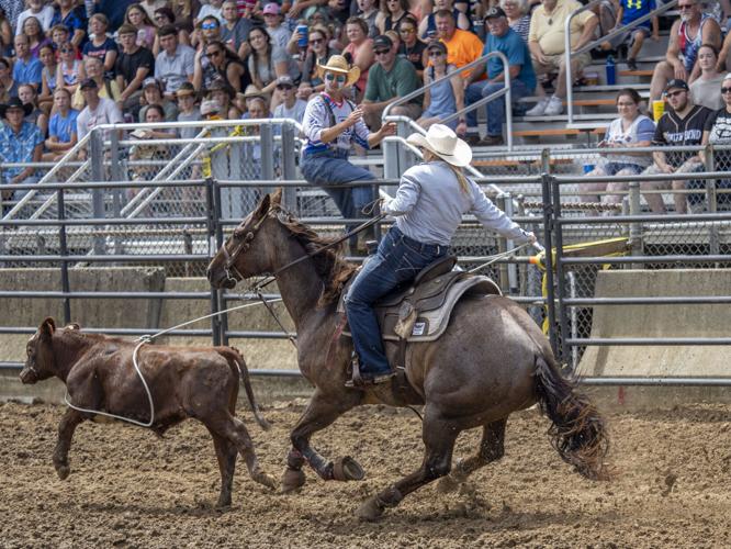 Elkhart County Fair Riders, ropers, racers get adrenaline rush