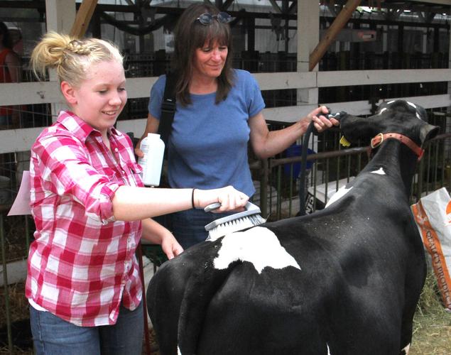 SLIDESHOW LaGrange County 4H Fair Local News