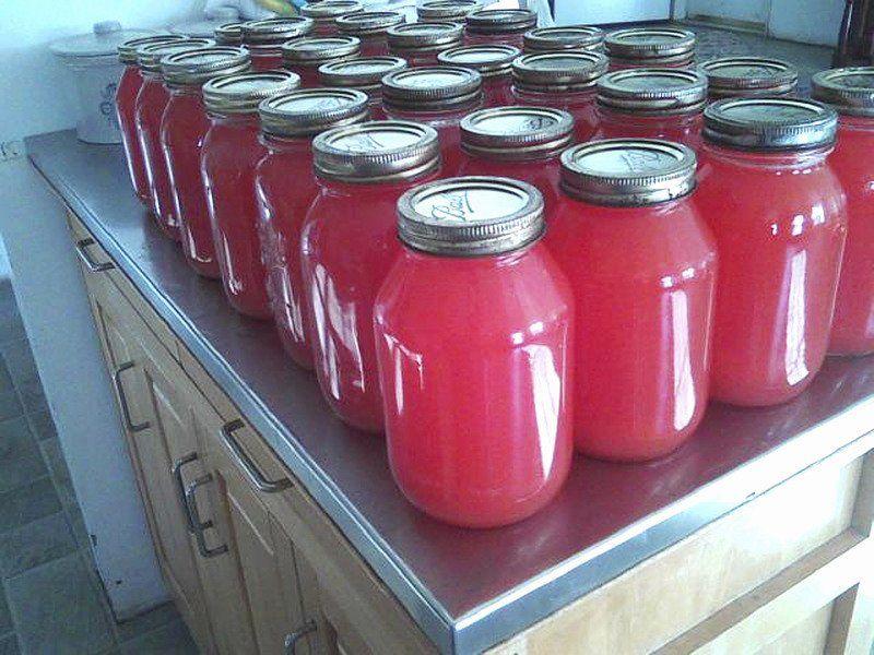 Lovina S Amish Kitchen Columns Lovina S Amish Kitchen Columns