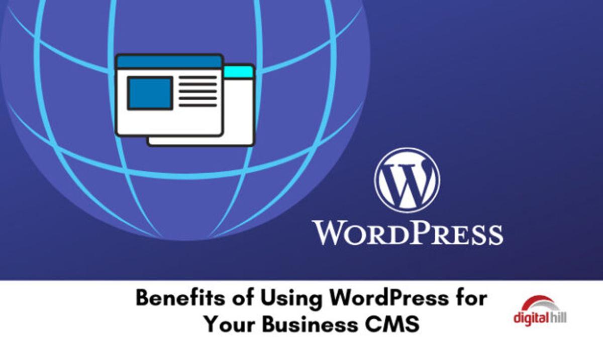Benefits of using WordPress for your business website | News |  goshennews.com