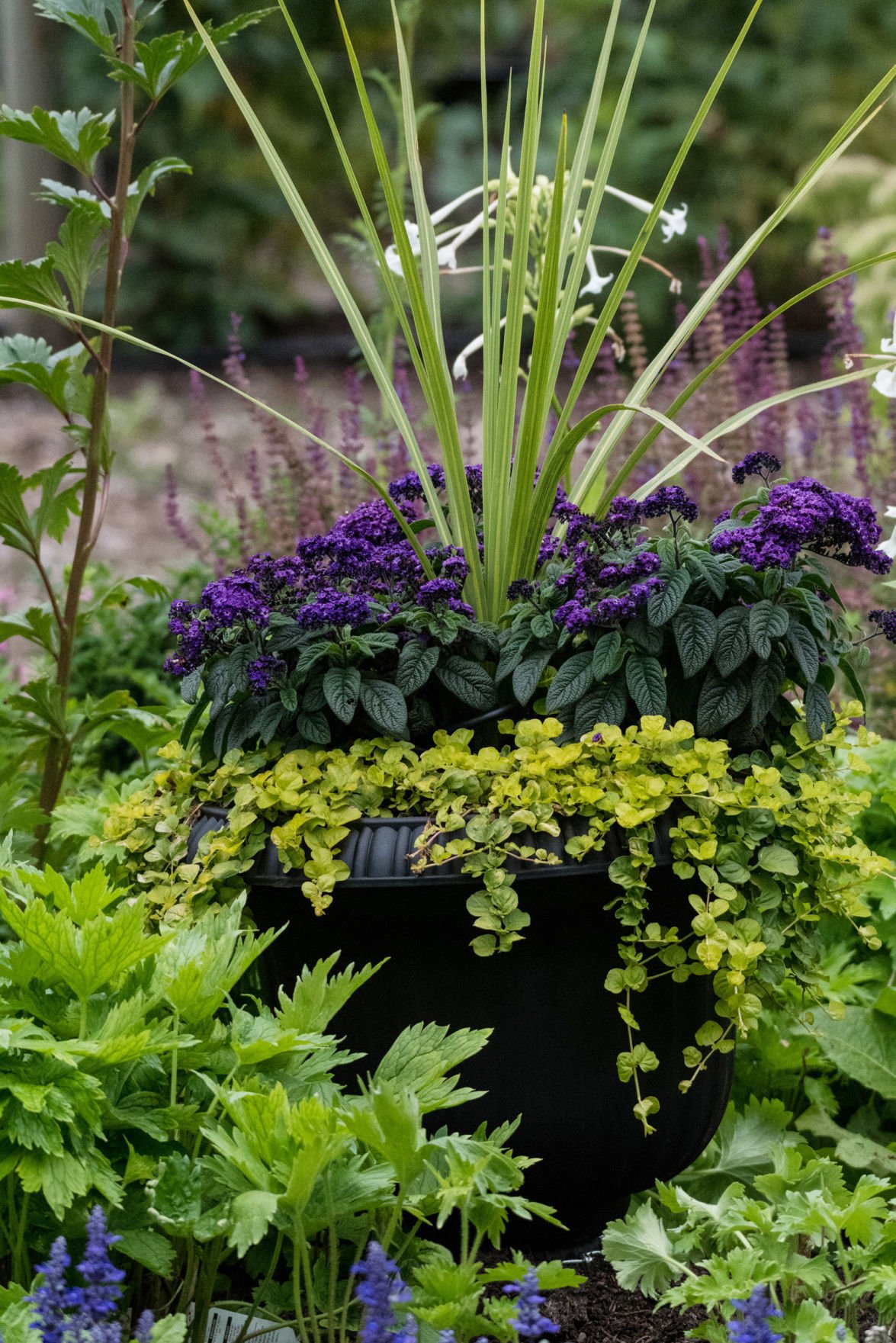 Fall Containers What To Plant When The Weather Turns Chilly Home And Garden Goskagit Com