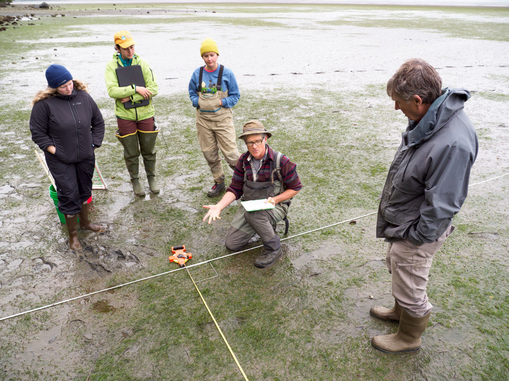 Researchers take new look at longtime non-native snails in Padilla