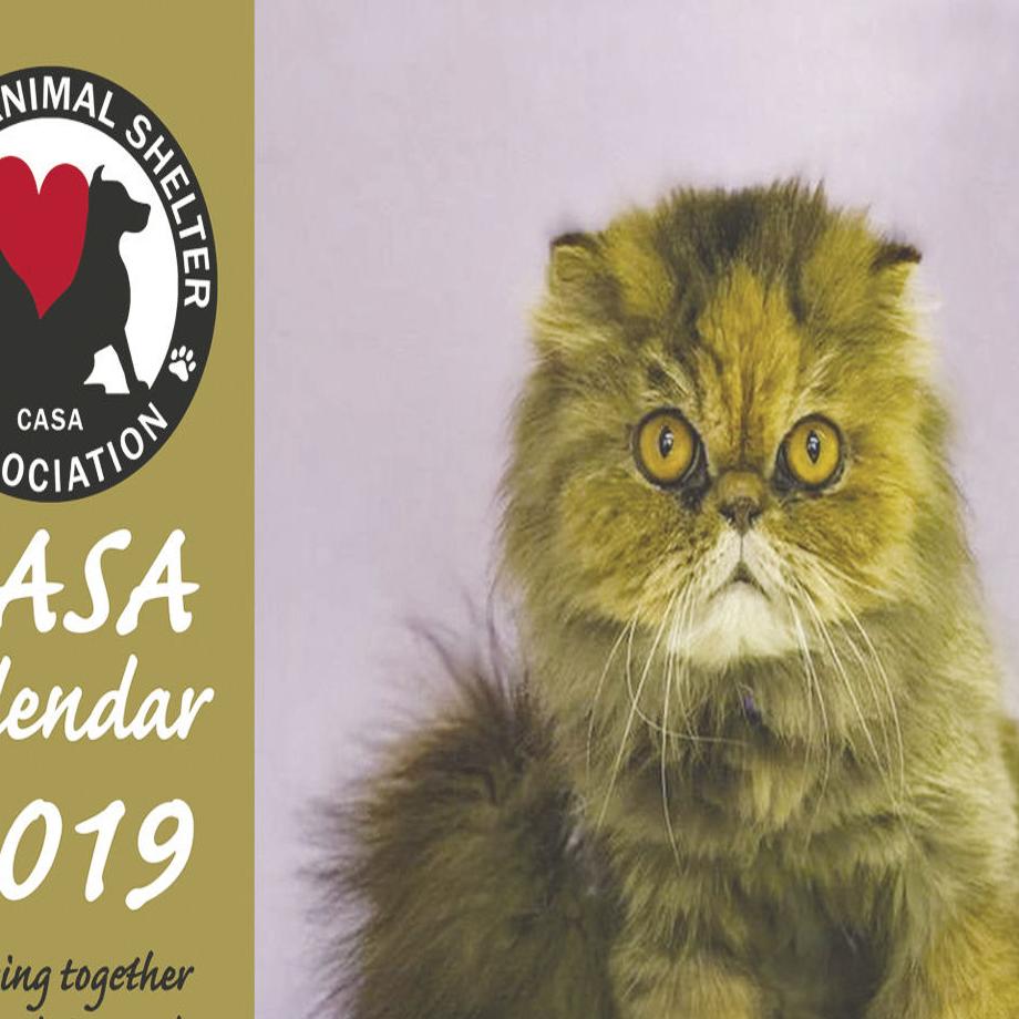 Pets Pet Food Drive Honor A Pet On Tree Casa Calendar Casa Meeting News Goskagit Com