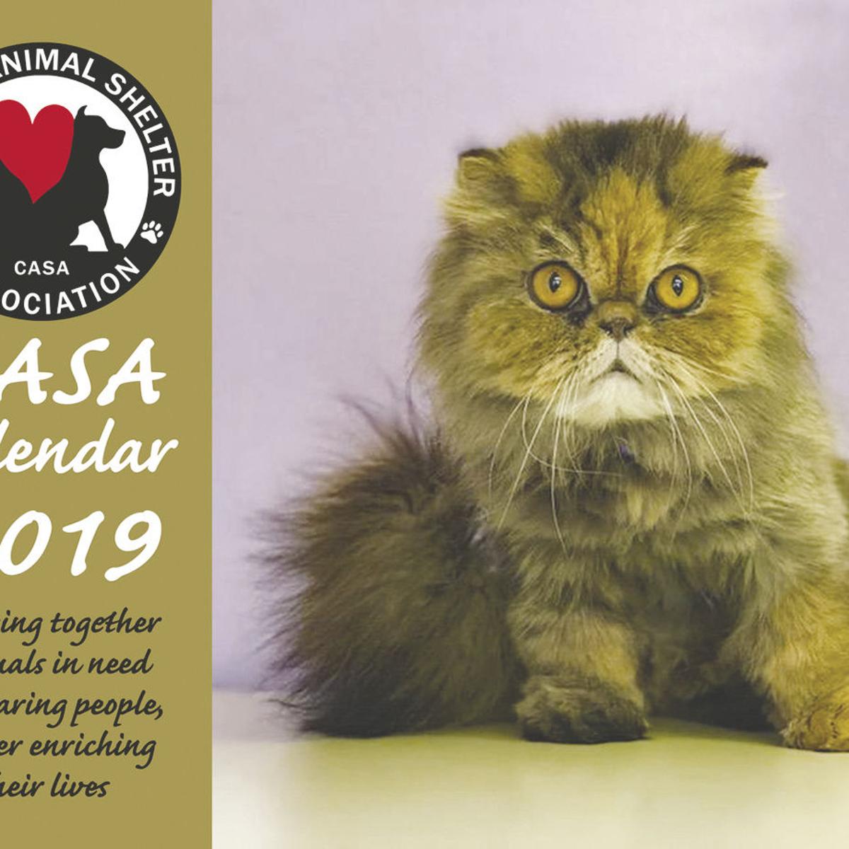 Pets Pet Food Drive Honor A Pet On Tree Casa Calendar Casa Meeting News Goskagit Com