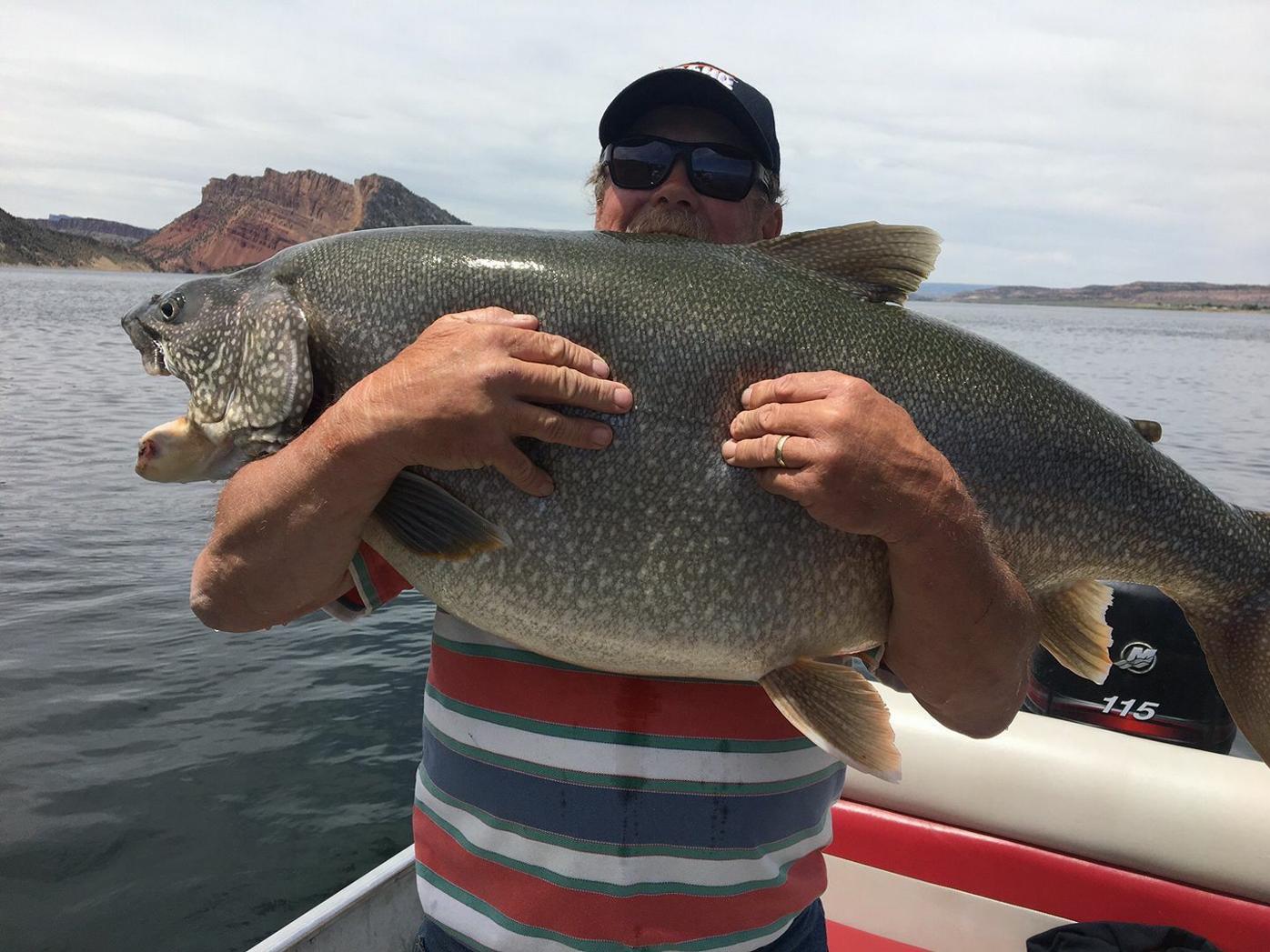 Southeast Idaho man's record for 57-pound trout revoked due to expired  fishing license, Northwest