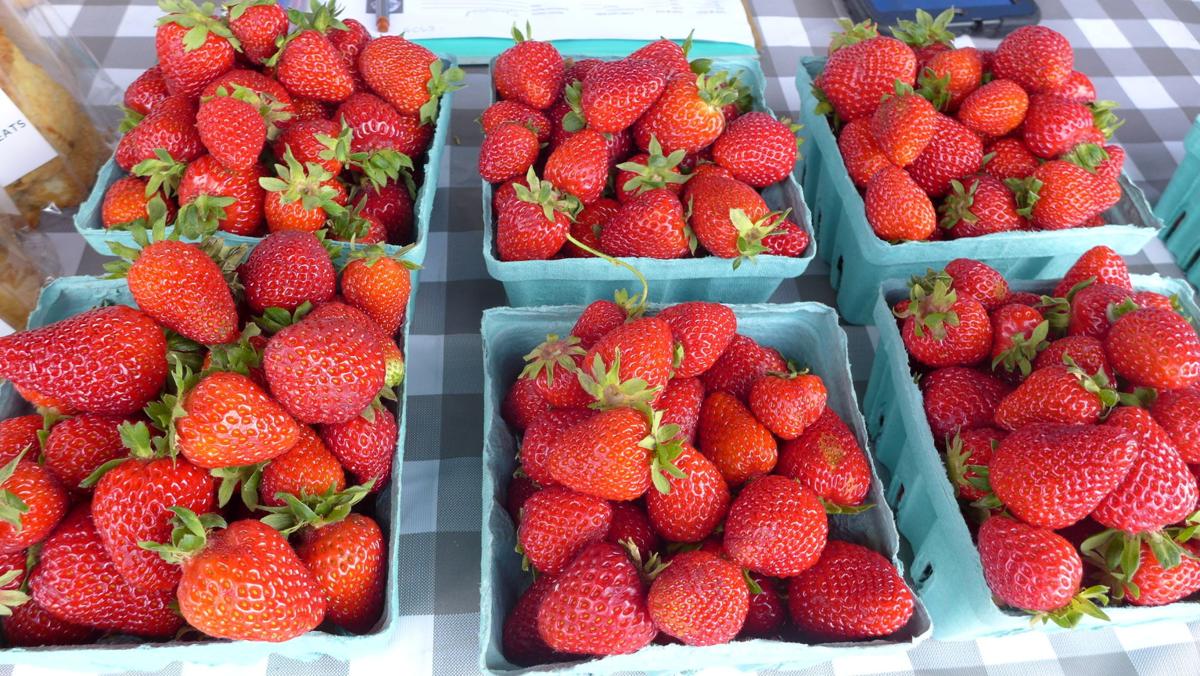Stwd FM berry boxes