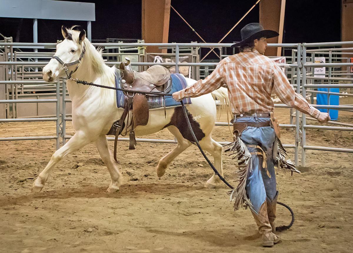 Horse training event returns to Burlington Sports