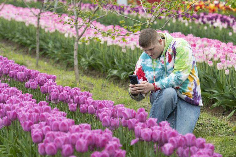 Skagit Valley College botany class visits tulip field Anacortes