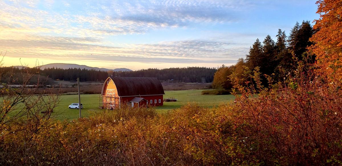 Skagit Land Trust expands on Guemes Island with largest donation News