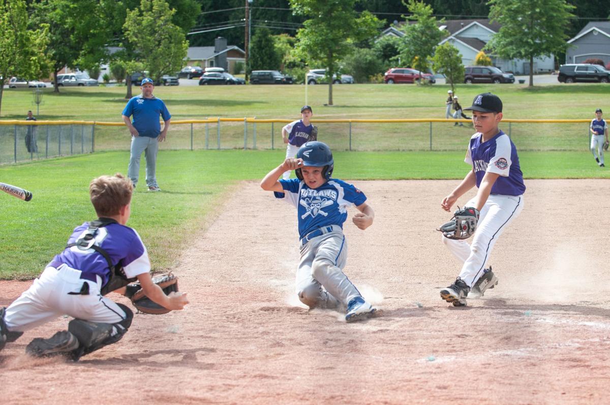 Cal Ripken Baseball Tournaments roll on Sports