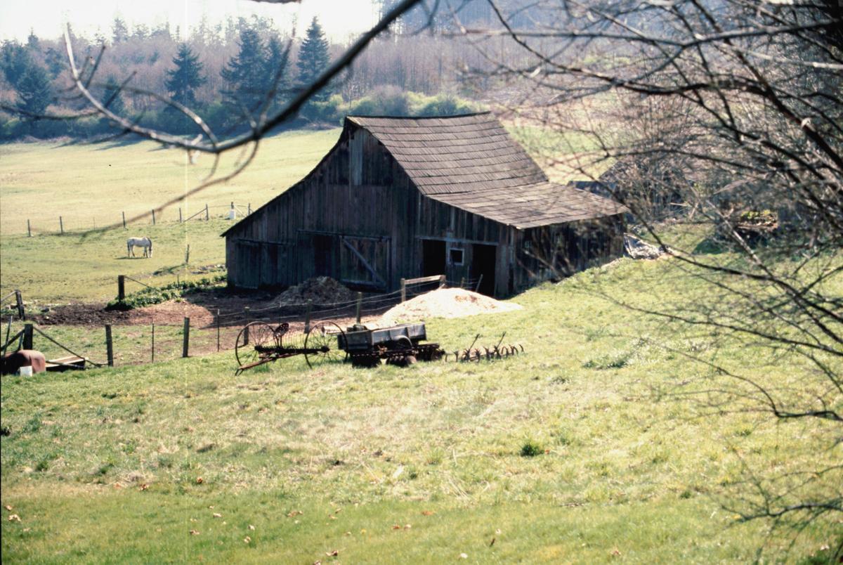Photo Gallery Camano Island barns News