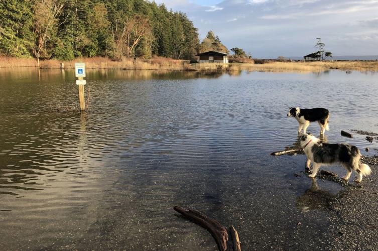 Camano Island state parks damaged by flooding Building Industry