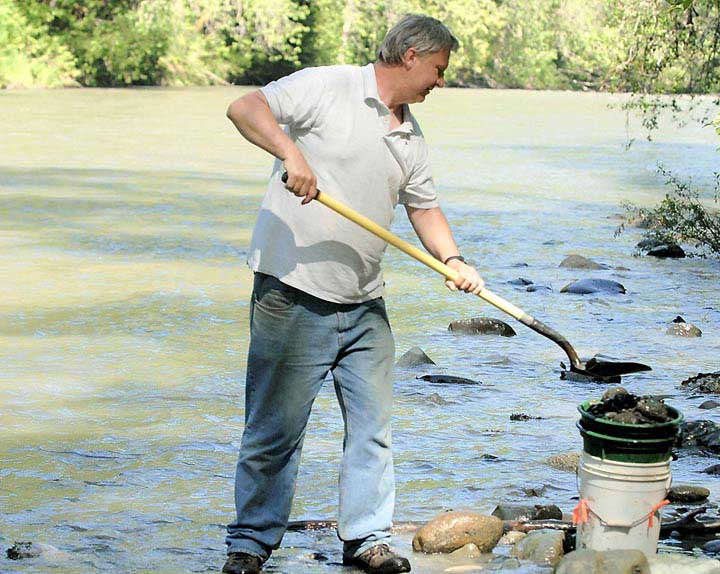 Gold still streams through the Skagit and Samish rivers and the South