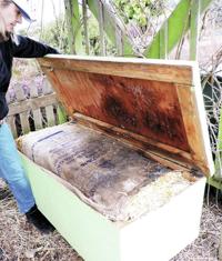 Worm composting: It's easy and fun, All Access