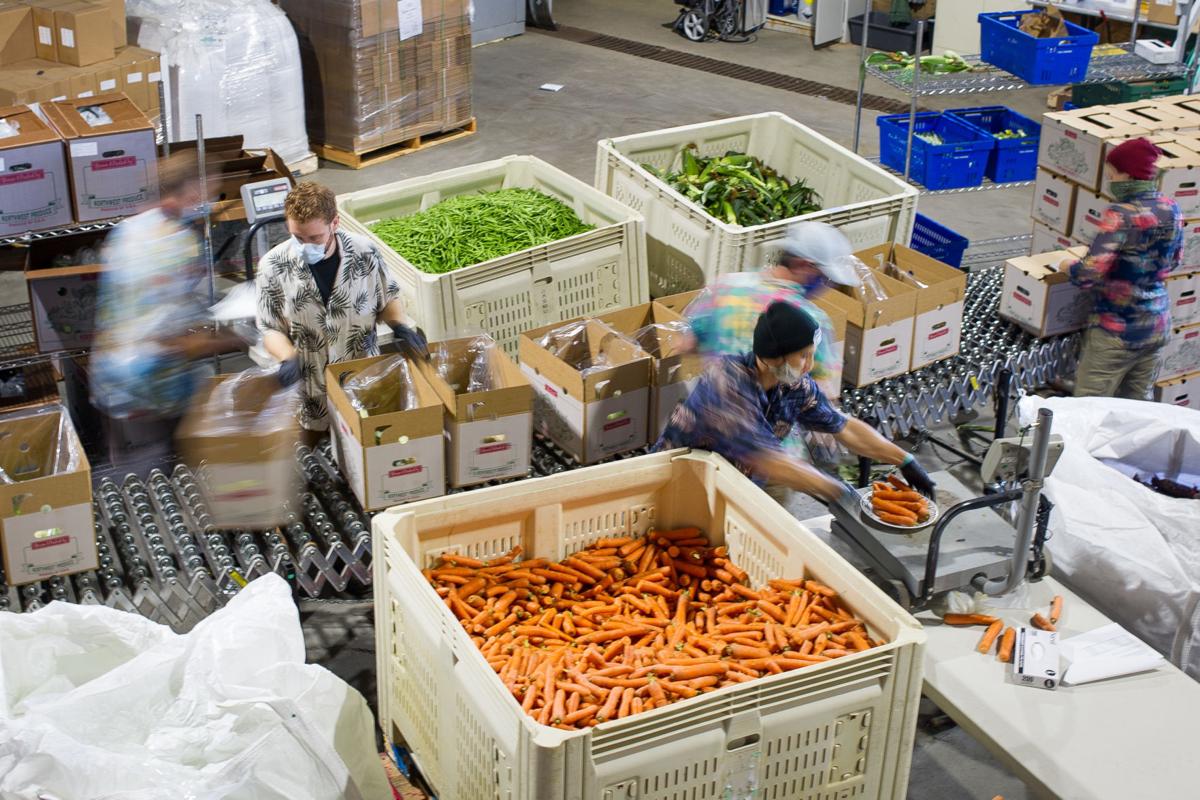 GROW SKAGIT Food hub delivers 19,000 produce boxes to families Local
