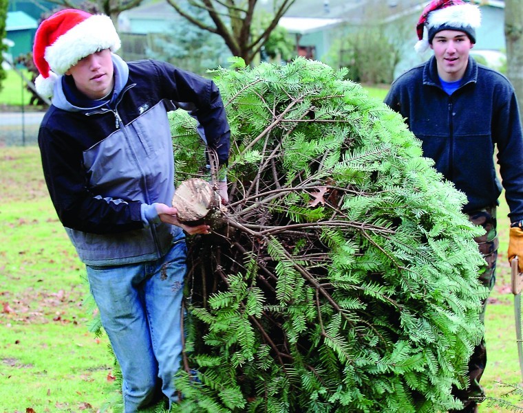 How to dispose of your Christmas tree after the holidays