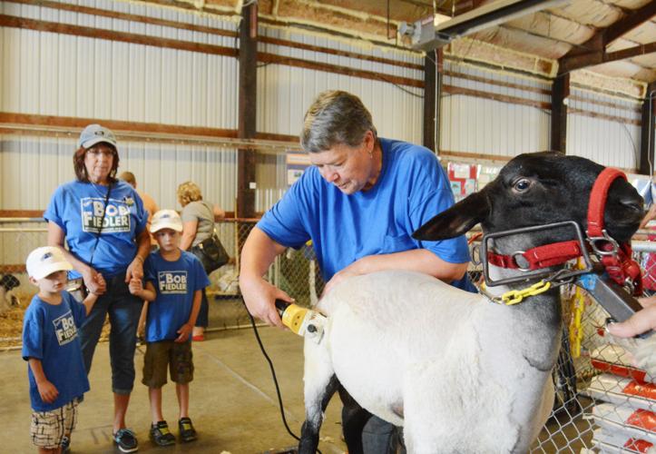 Skagit County Fair Gallery