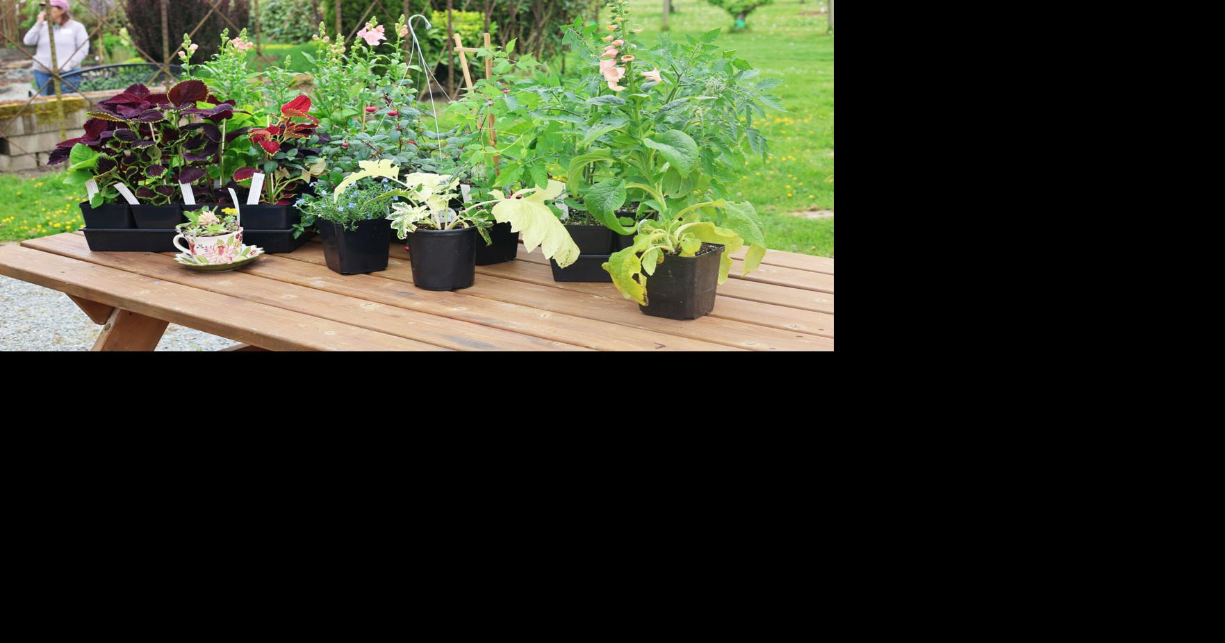 Thousands of plants to be available at Plant Fair