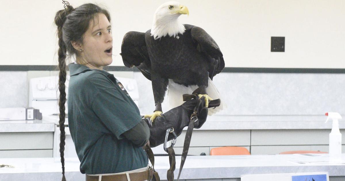 Visitors learn about raptors in Rockport | Environment | goskagit.com