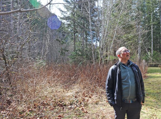 Marblemount mine proposal met with stiff opposition Local News