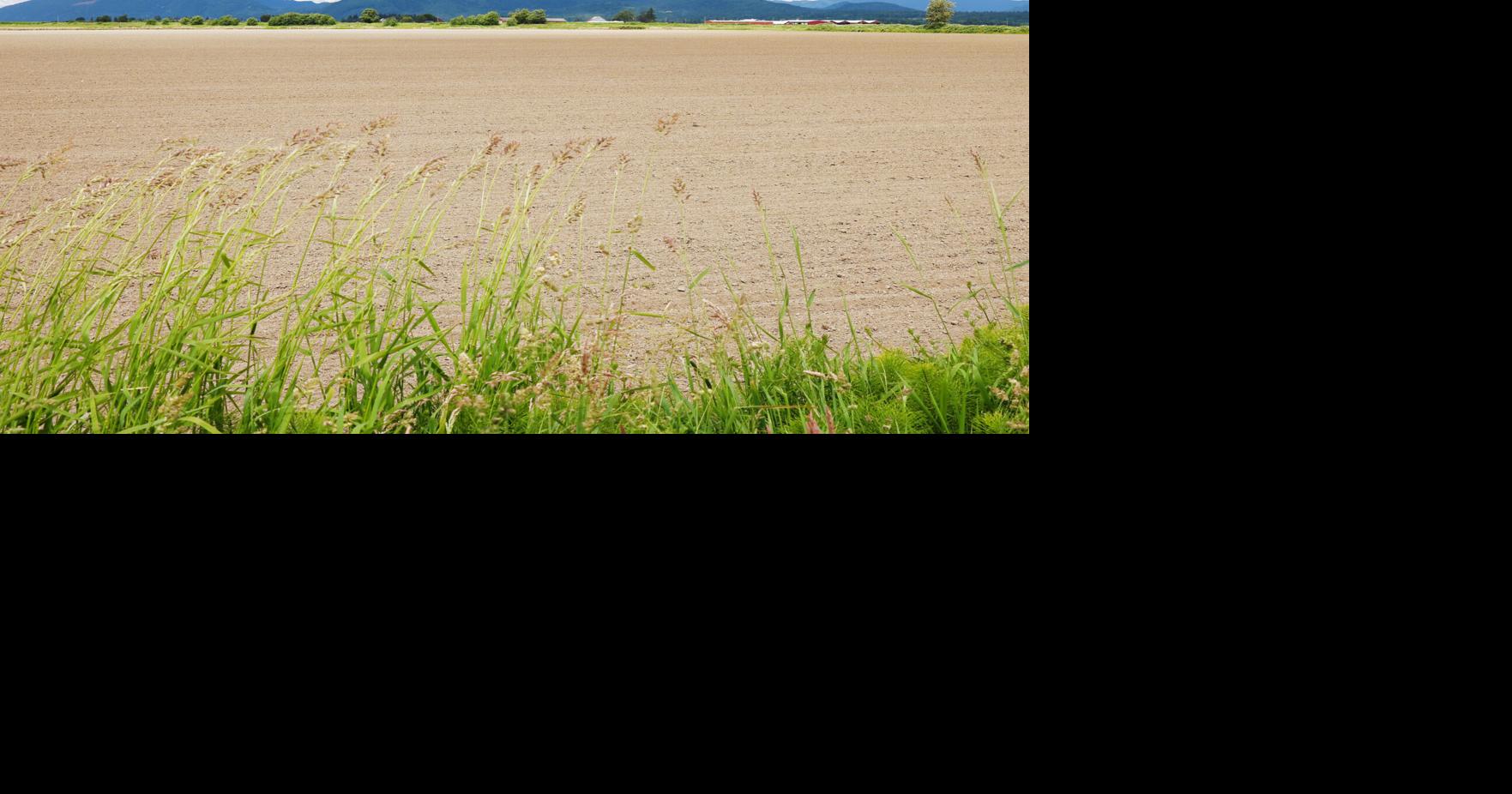 Another 154 acres of Skagit County farmland protected from development