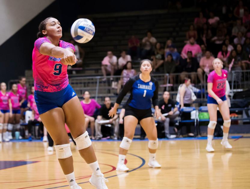 Alumni Update Handy Shines On Chaminade Volleyball Team Sports