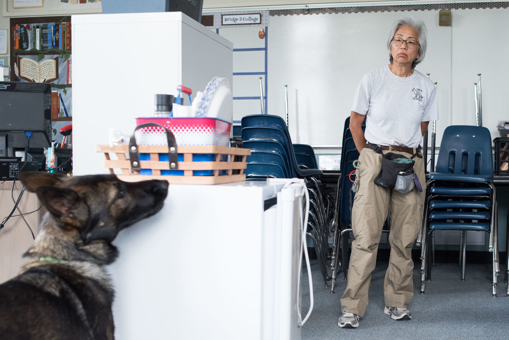 bay area k9 training