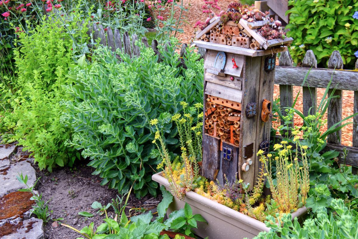 Ask the Master Gardener Building a wildlife habitat garden Home And