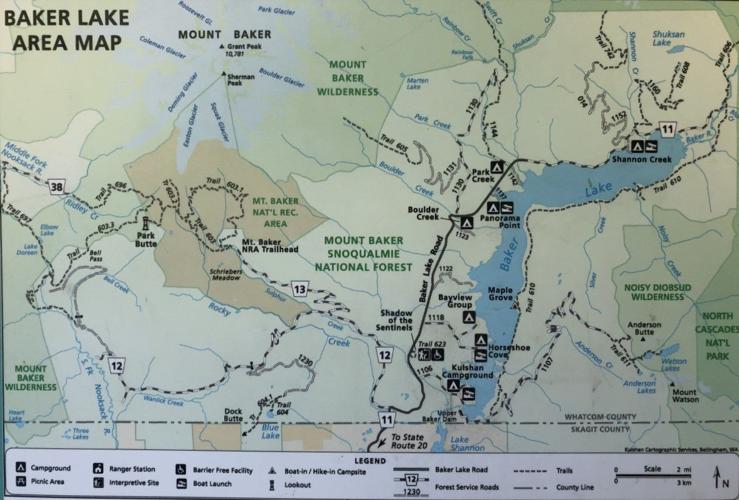 Baker Lake Trail reopens following closure due to cougar activity