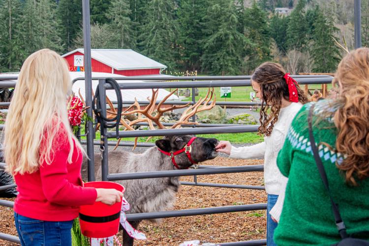 Winter Festival & Makers Market brings holiday cheer to Arrowhead Ranch ...