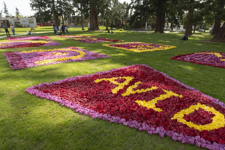 Mount Vernon students bring back tulip displays Growskagit