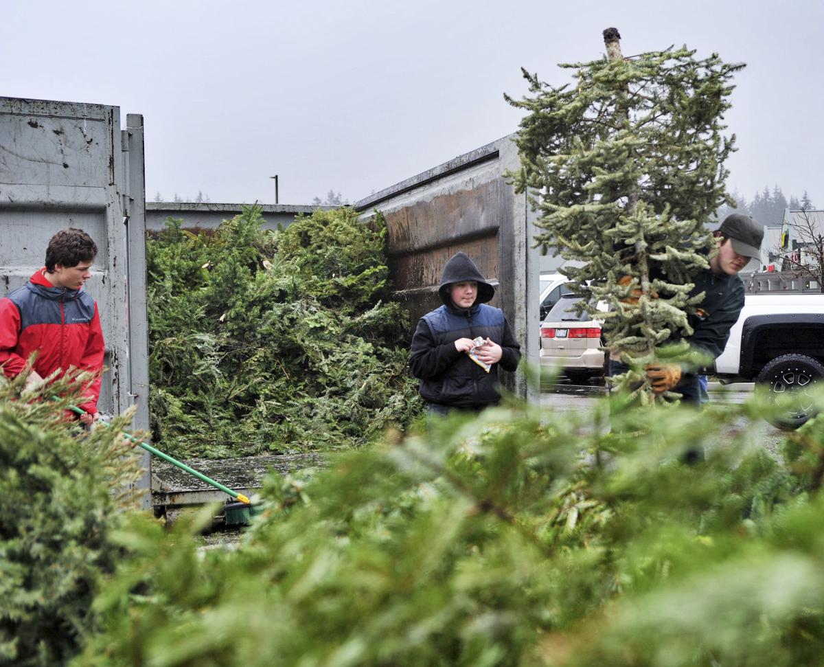 Area Briefly Recycle Christmas Trees With Boy Scouts Tips For Snow Preparedness News Goskagit Com