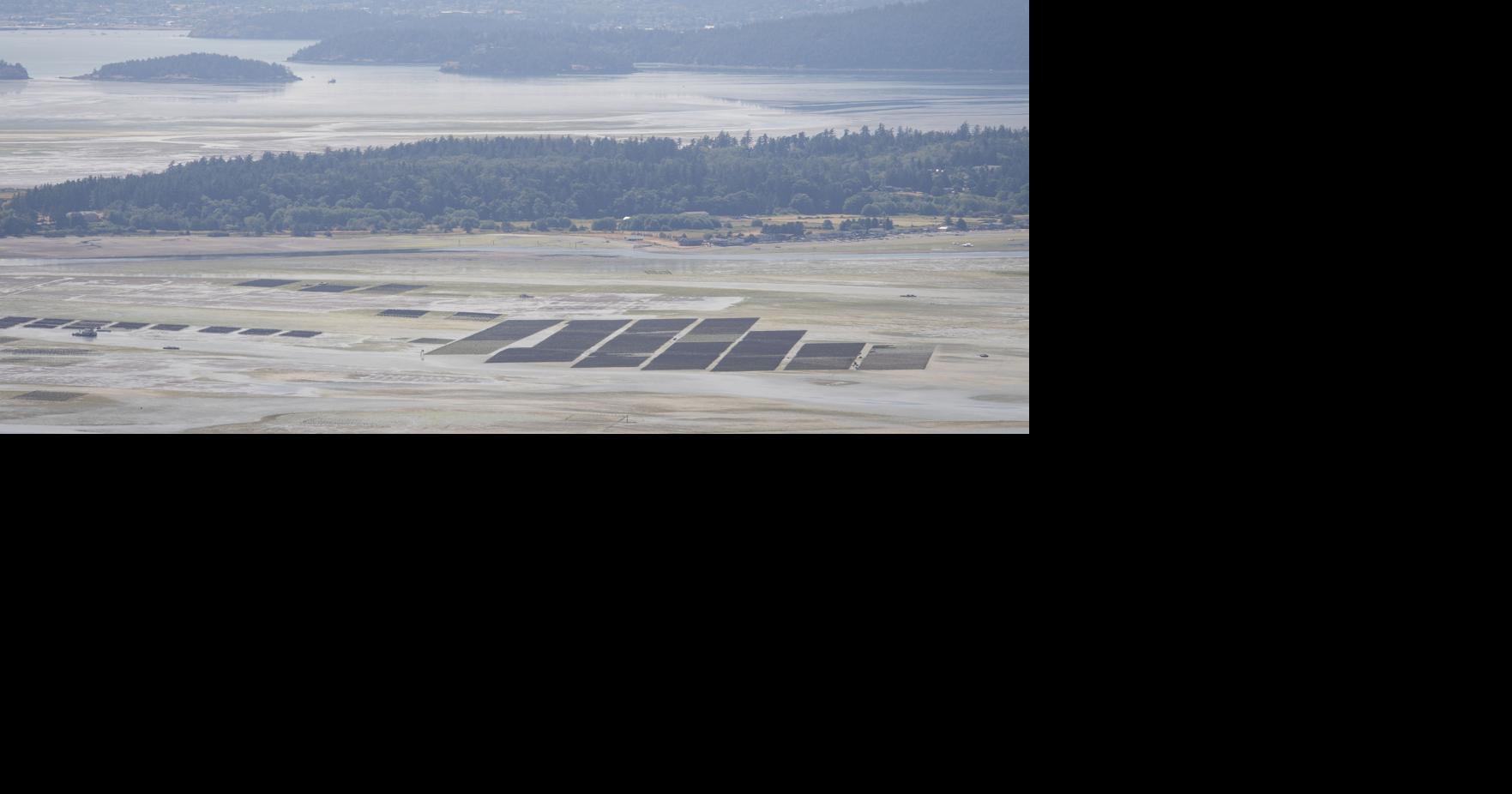 Samish Overlook access road reopens Railway