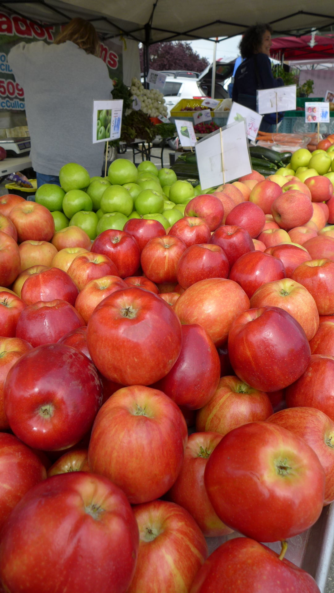 Stwd FM Apples