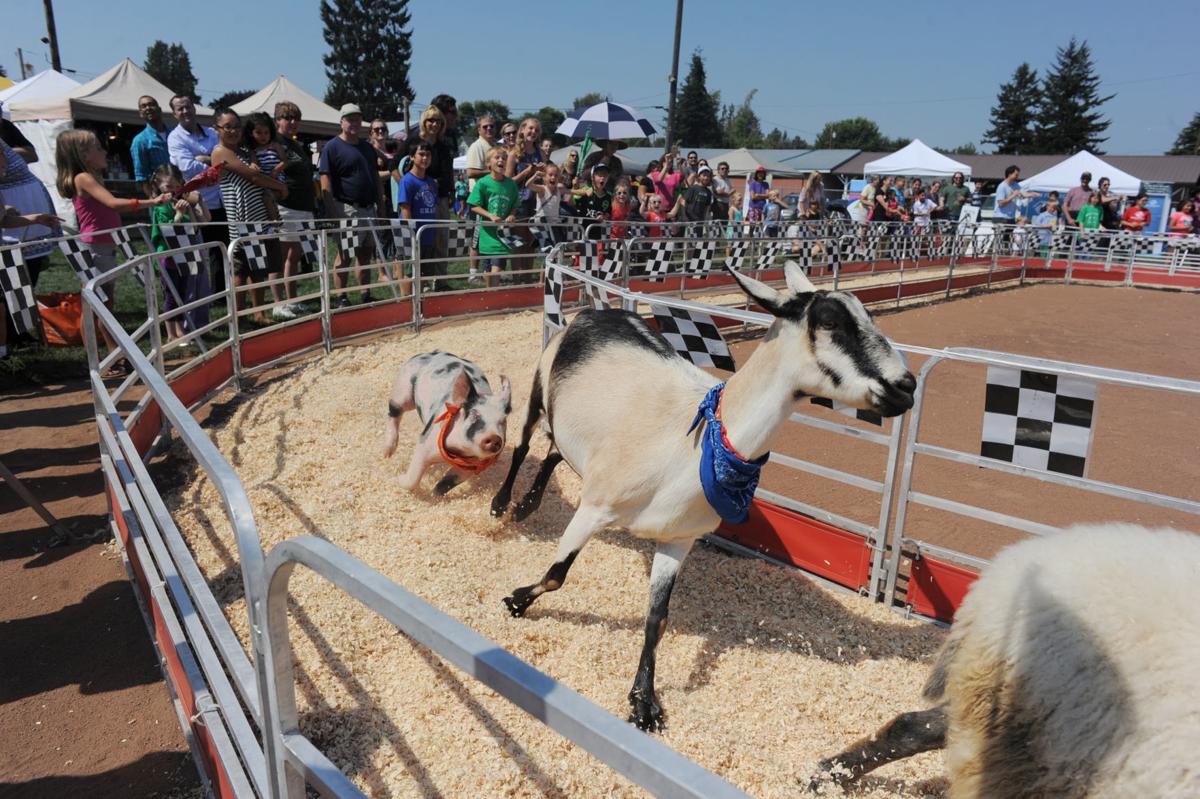 Fair time! Skagit County Fair in full swing Entertainment