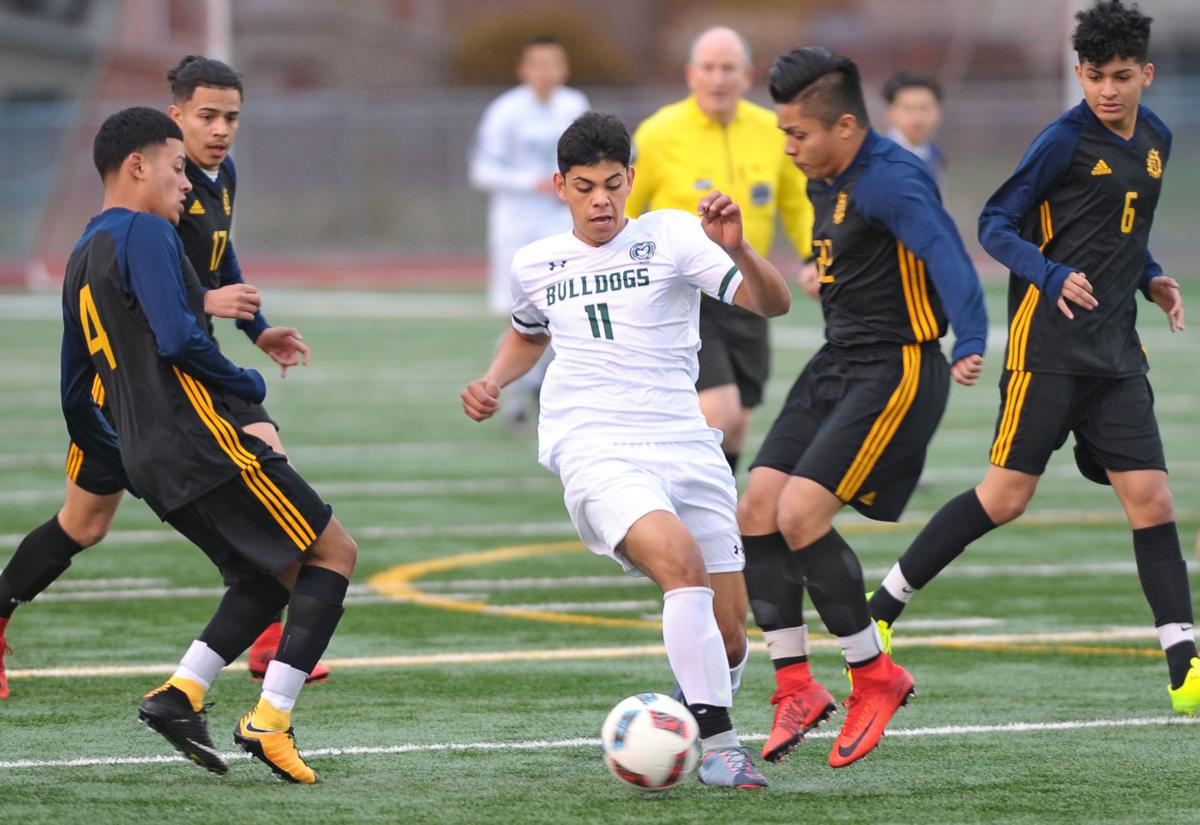 Prep Roundup Bulldogs Handle Mariner On The Pitch Sports