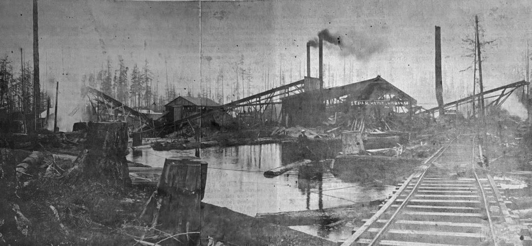Exploring History Timber industry was area's foundation News