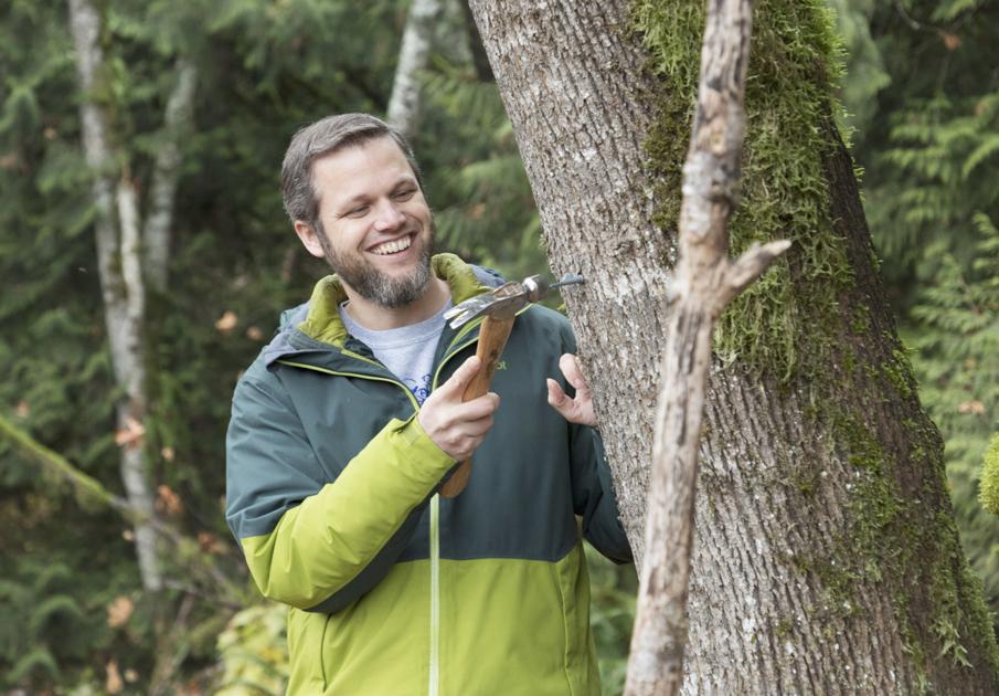 Untapped potential: Workshop focuses on making bigleaf maple syrup - goskagit.com