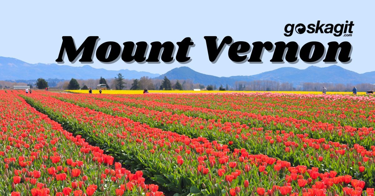 Mount Vernon City Council votes to turn off Flock cameras, mayor ...