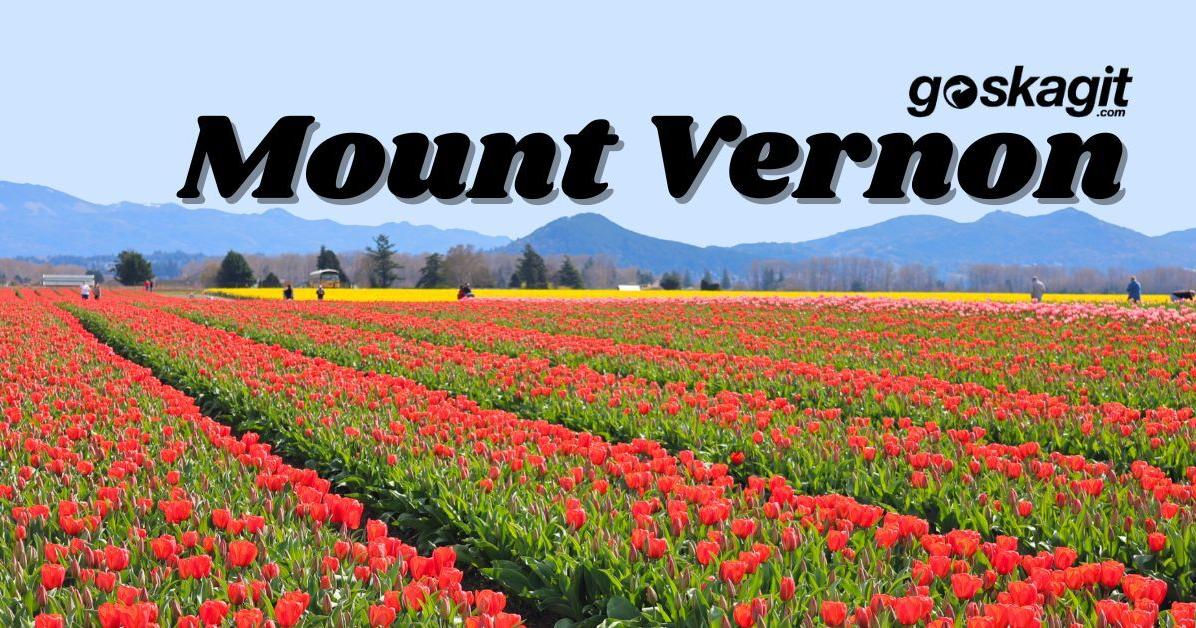 Mount Vernon City Council approves CDBG funds for community development
