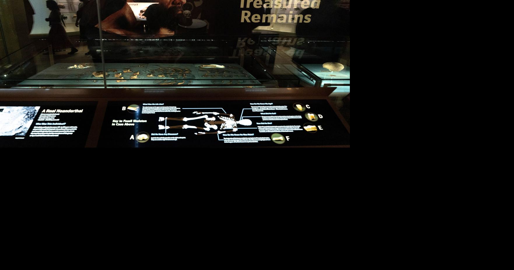 Human Evolution | National News | goskagit.com